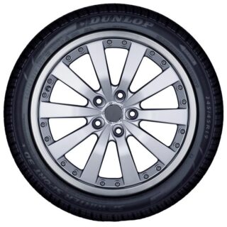 dunlop zimske gume